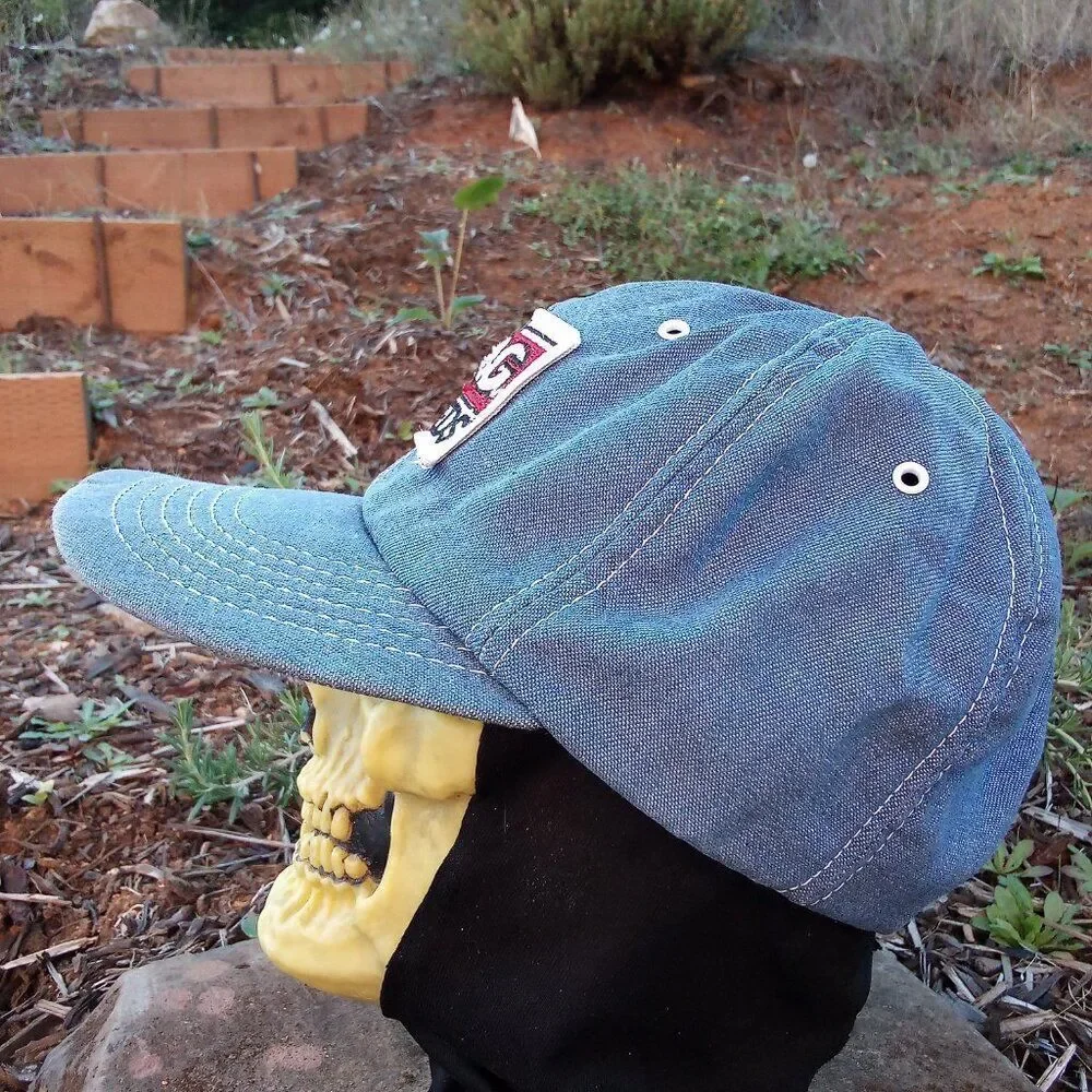 Vintage Swingster PAG Seeds Denim Snap Back Hat